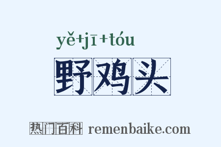 野鸡头是什么意思的图片